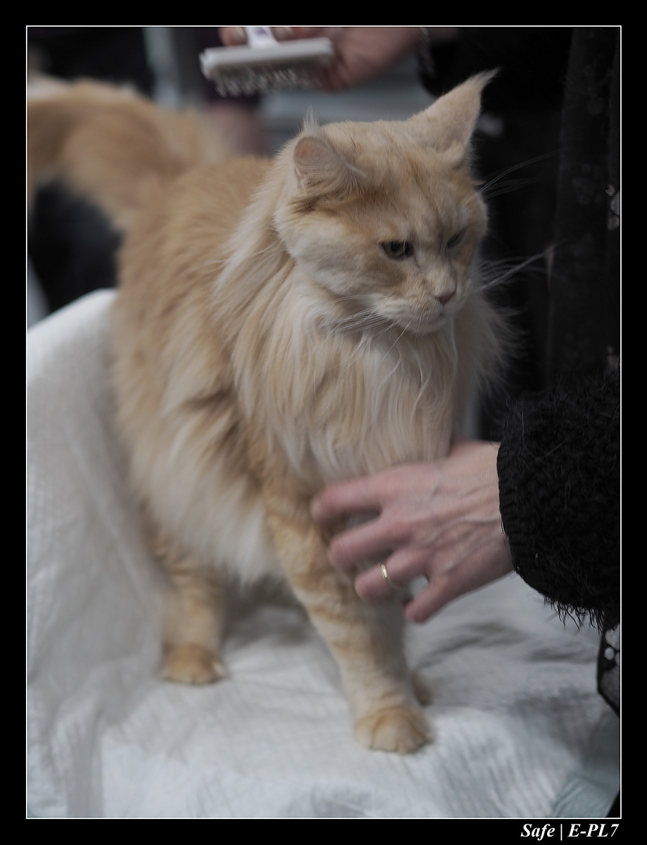 2020 - 02 - Salon agriculture 23